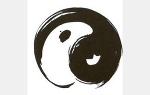 Le judo, plus qu'un sport, un art martial et des valeurs...