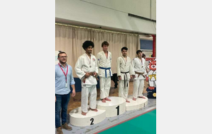 Samedi 16 novembre Compétition régionale des ceintures de couleurs catégories cadets / cadettes à Toulouse :