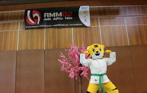 Cérémonie de remise des ceintures