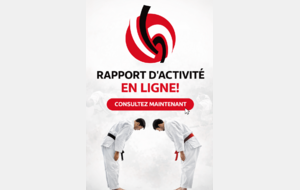Rapport d'activité