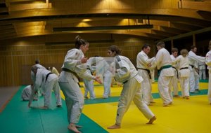 MB_EntrainementMasse  05.jpg