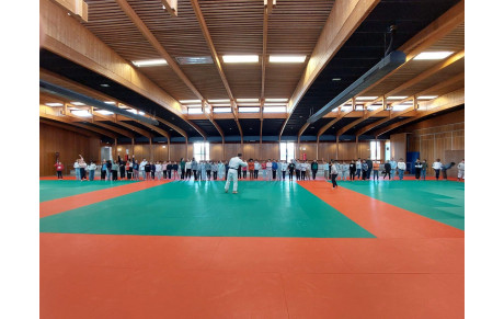 Le Judo auprès des scolaires
