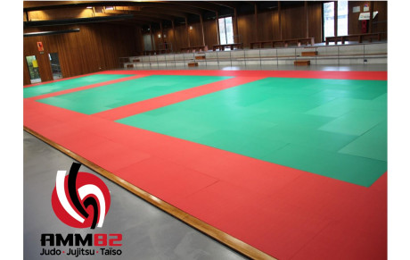 week-end du 25 et 26 Janvier 2025 à Montauban