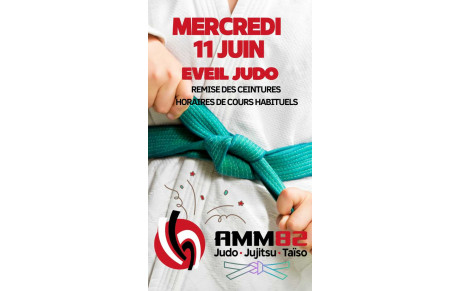 Remis Eveils Judo