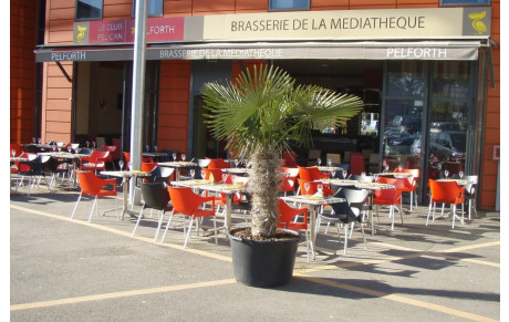Brasserie de la médiathèque
